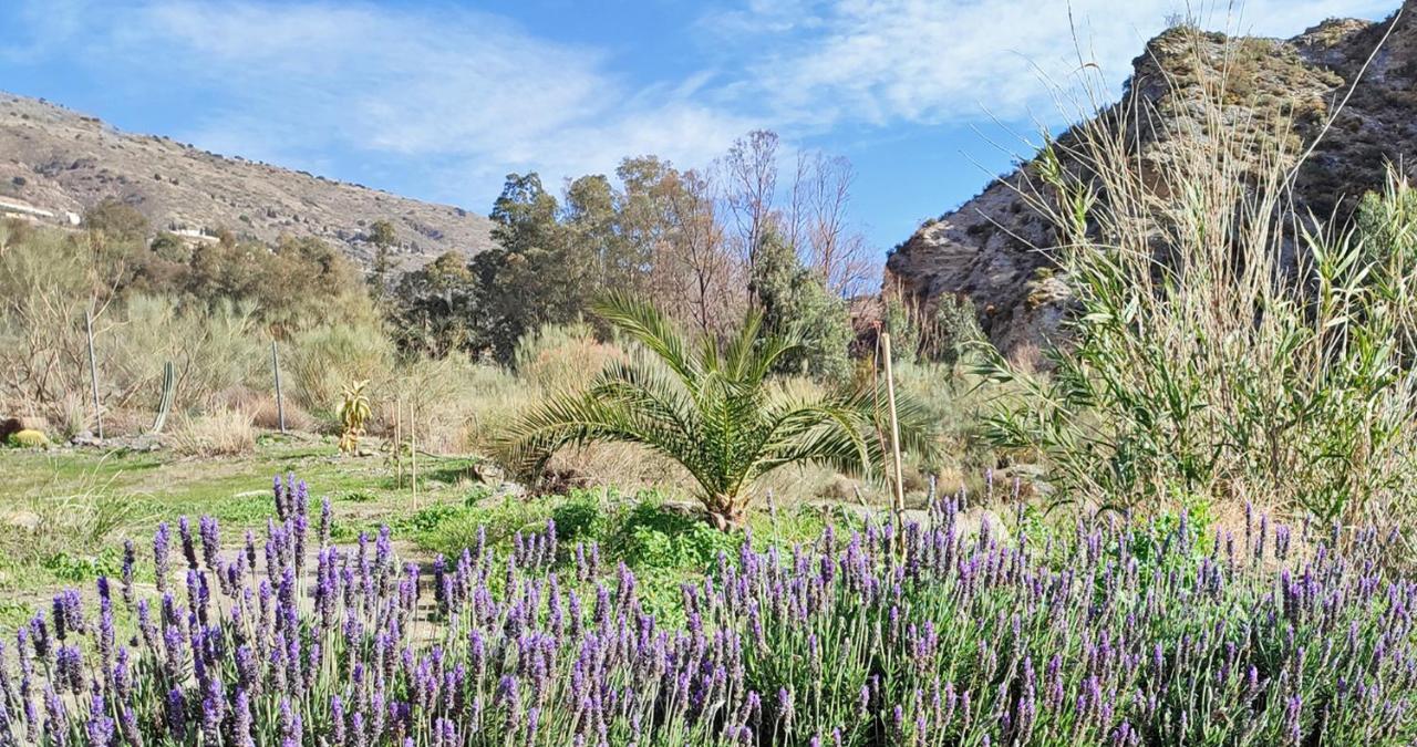 Вилла Cortijo Aguacha Байякас Экстерьер фото